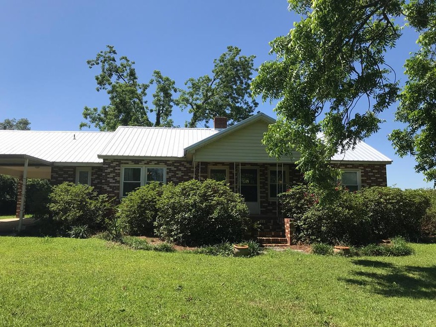 7263 Lodgetown Rd, Pelham, GA 31779 - photo 1