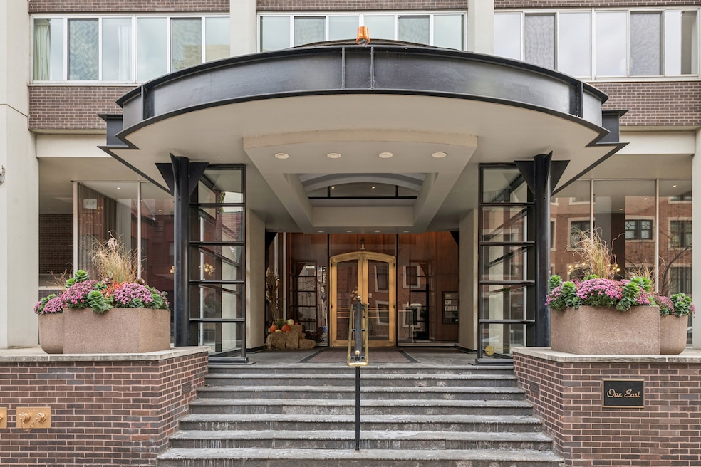 unlisted-address, Chicago, IL 60610 - photo 1