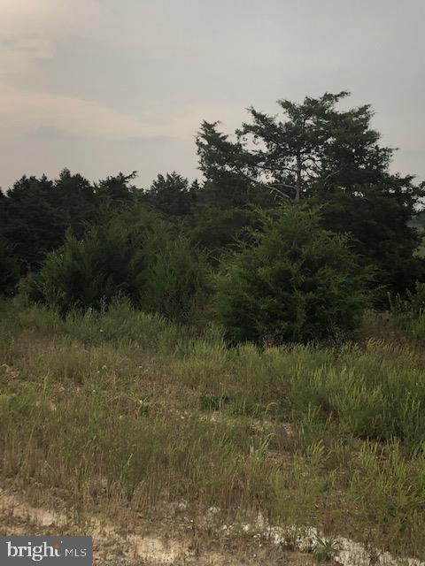 135-140 Emilys Ct, Antrim Township, PA 17225 - photo 1