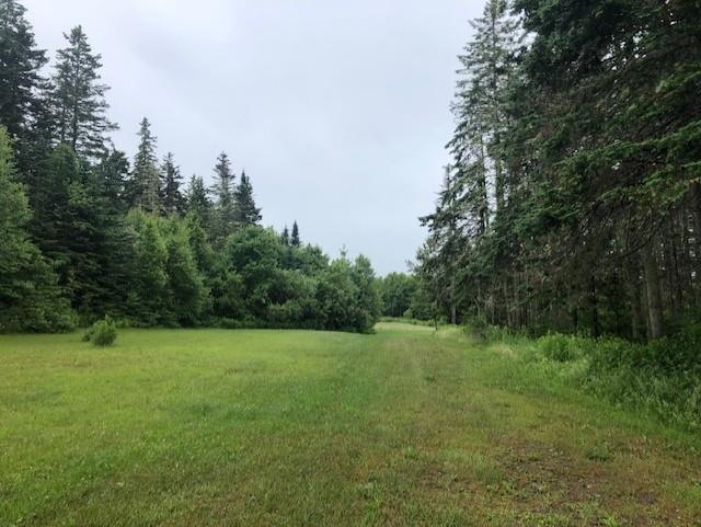 1172 Cobb Rd, Walden, VT 05873 - photo 1