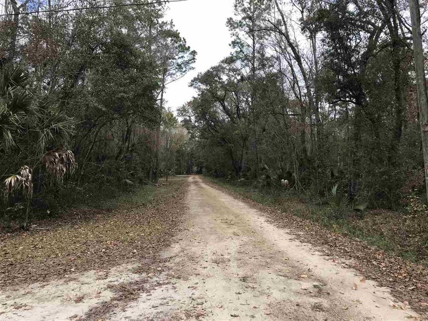 Lots 9&17 Owl Ln, Crawfordville, FL 32327 - photo 1