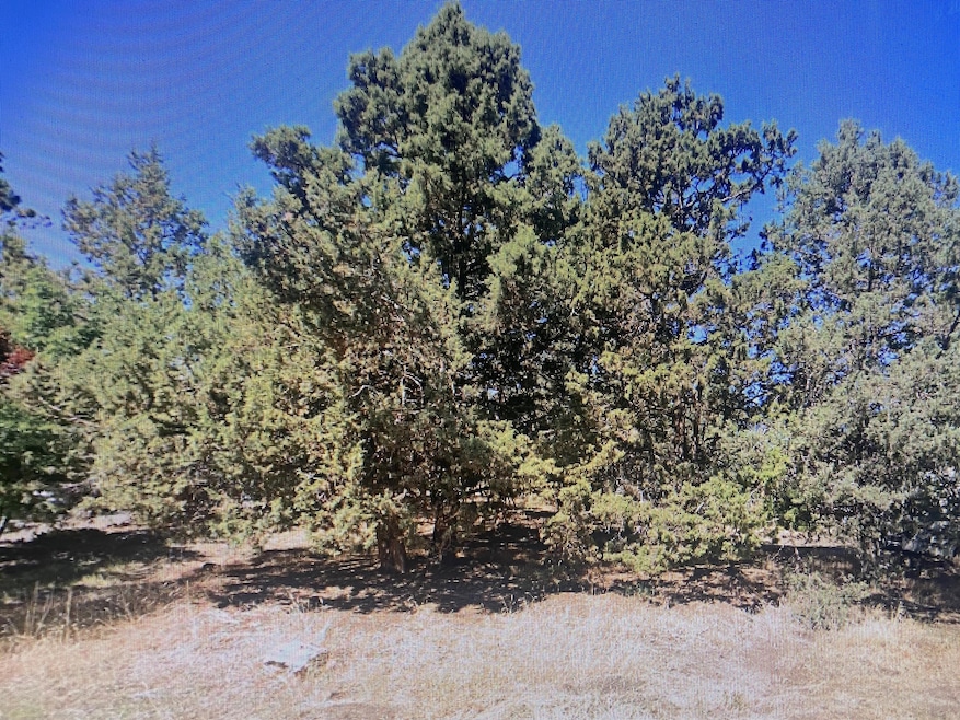 25 SE Craven Rd, Bend, OR 97702 - photo 1