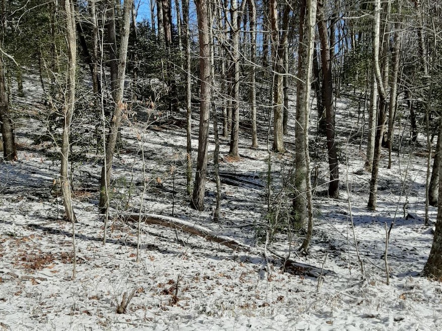 0 Peter Knob unit Lot 11 8905184, Blue Ridge, GA 30513 - photo 1