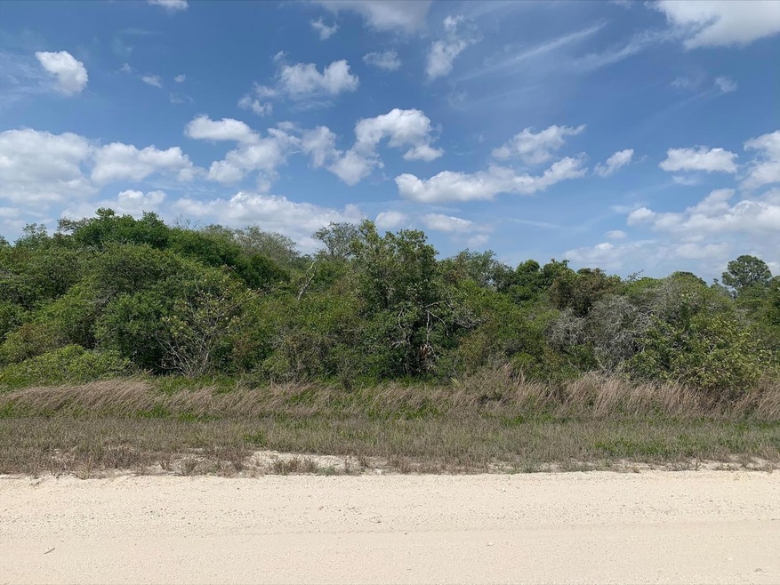 unlisted-address, Other City - In the State of Florida, FL 33852 - photo 1