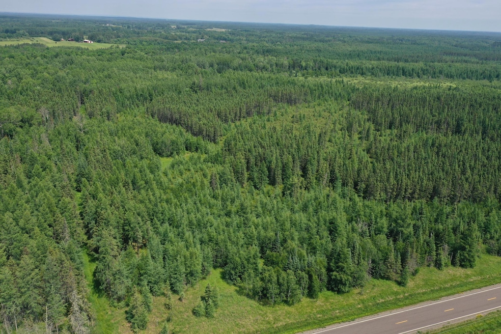 TBD Arkola Rd E, Kelsey, MN 55724 - photo 1