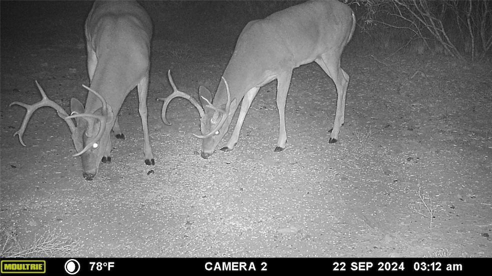 12750 Cr 129, Grosvenor, TX 76801 - photo 1