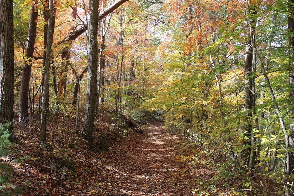 1 Gosser Ridge Spur, Russell Springs, KY 42624 - photo 1