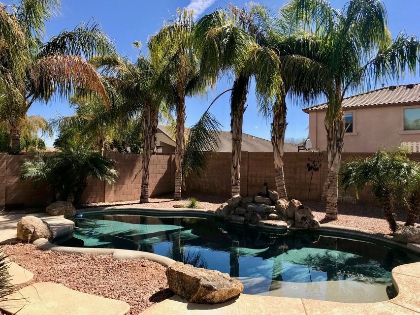 Tropical Pool