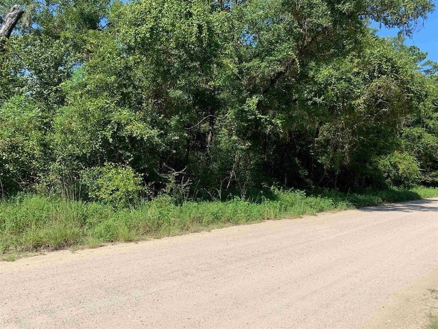 0 Parramore Shores Rd unit 389057, Tallahassee, FL 32310 - photo 1