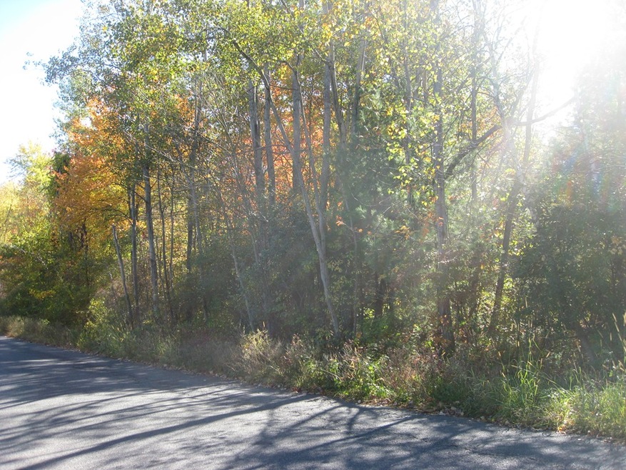 0 Potwine Ln, Amherst, MA 01002 - photo 1