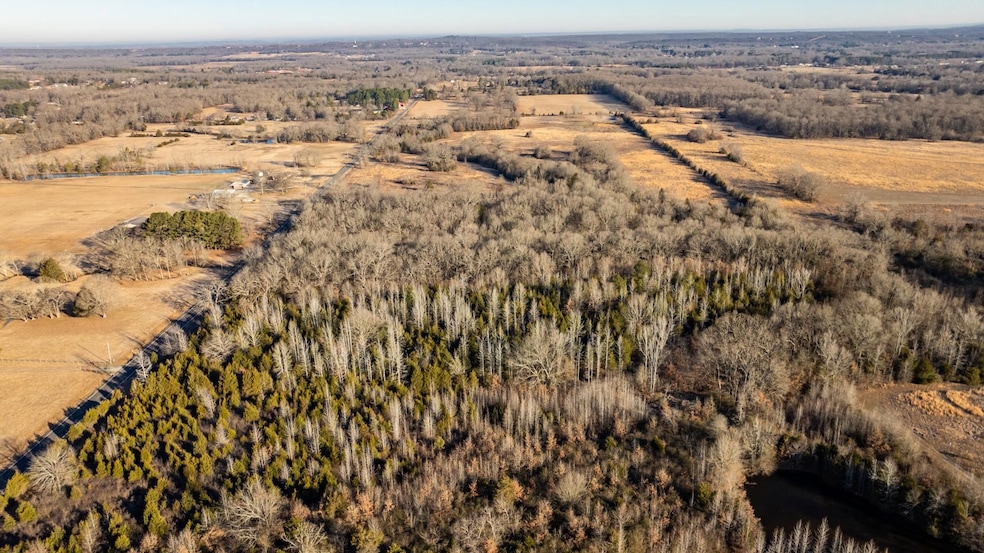 Tract 10 Rooster Rd, Conway, AR 72032 - photo 1