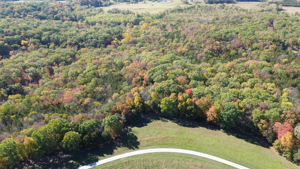DJI_0133