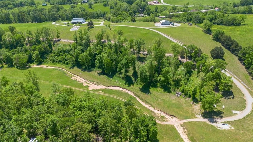 A mixture of trees and pasture or in this case man