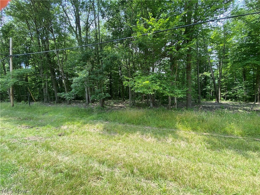 0 Columbia Ln unit 5051479, Roaming Shores, OH 44084 - photo 1