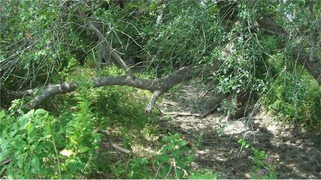 0 Tbd Franklinrd, Eddy, TX 76524 - photo 1