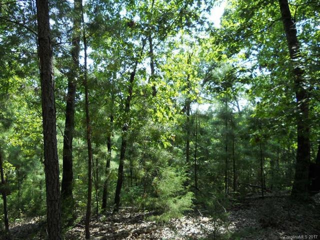 0 Fay Jones Rd, Denver, NC 28037 - photo 1