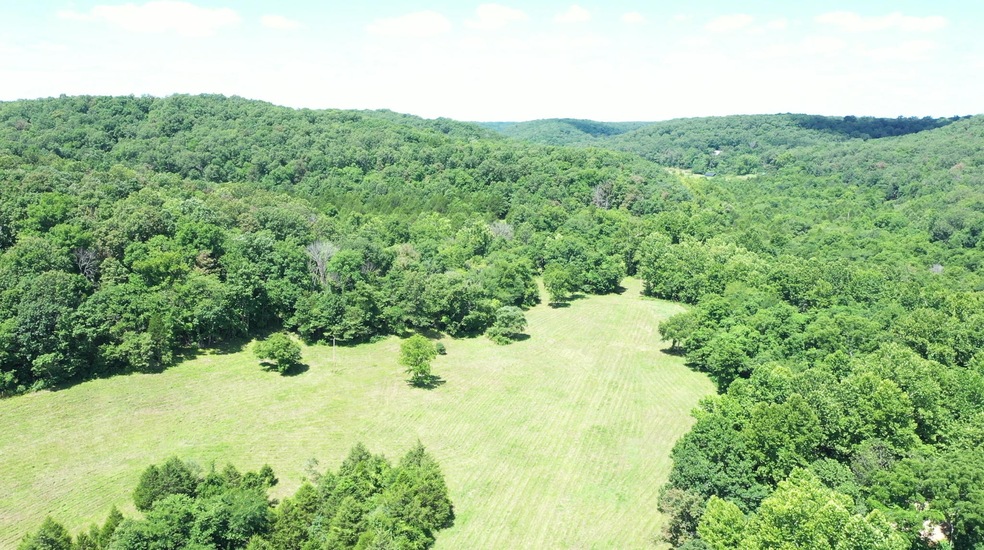 Tbd Cliff Rd, Union Township, MO 65459 - photo 1