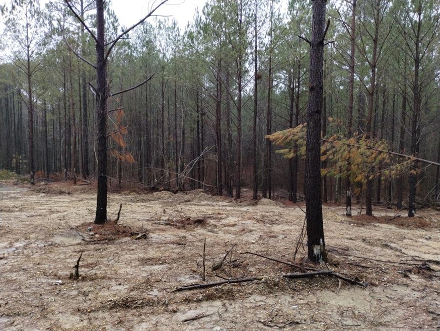 000 Walt Maddron Rd, Cohutta, GA 30710 - photo 1