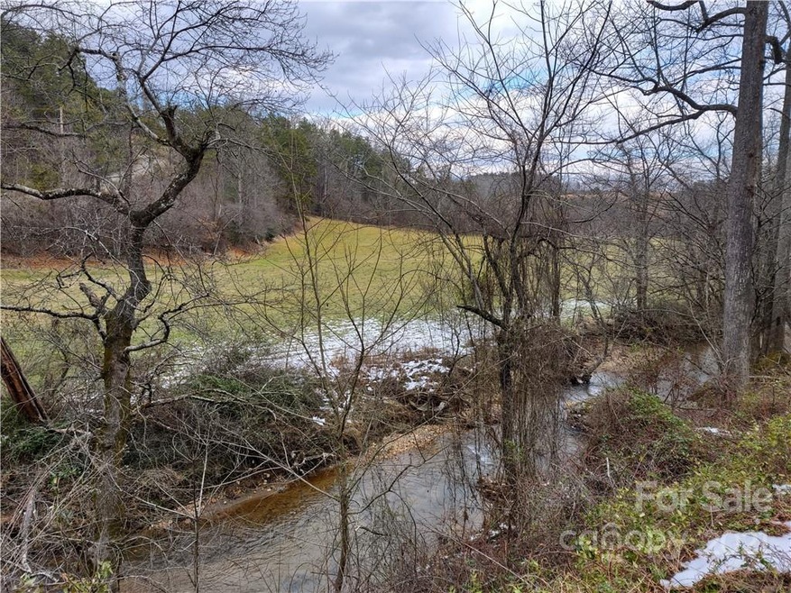 lot 17 Merrell Rd unit 17, Leicester, NC 28748 - photo 1