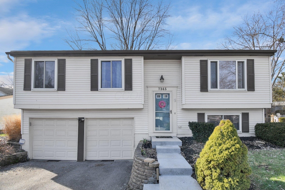 1-web-or-mls-7345-eel-ct