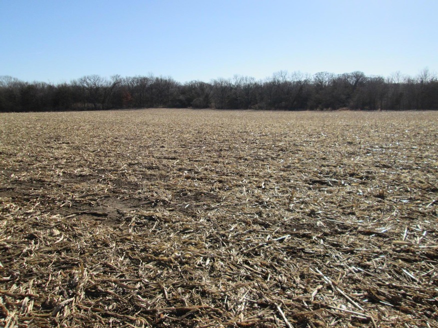 Sec 3, T82, & R26, Boone, NW Corner