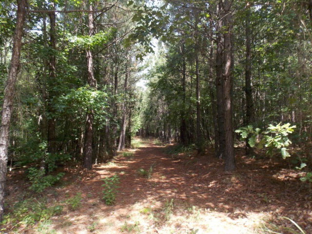 27 Amity Woodlawn Rd, Lincolnton, GA 30817 - photo 1