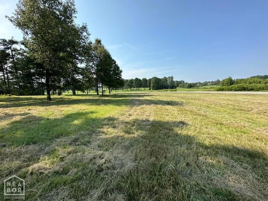 3321 County Road 751, Jonesboro, AR 72401 - photo 1