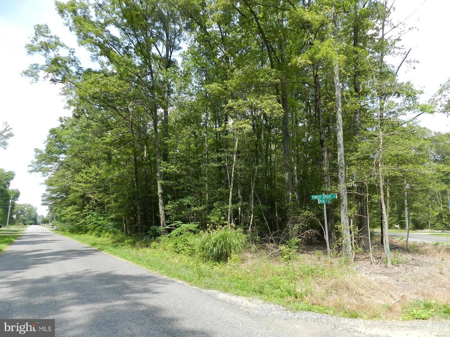 0 Placid Point unit 1000025873, Colonial Beach, VA 22443 - photo 1