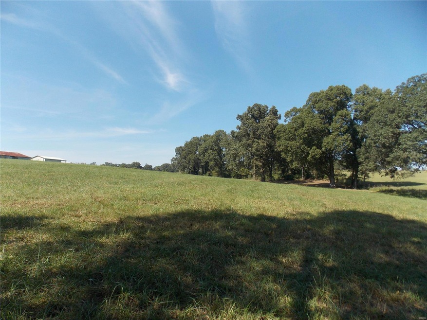 0 County Road 480, Poplar Bluff, MO 63901 - photo 1