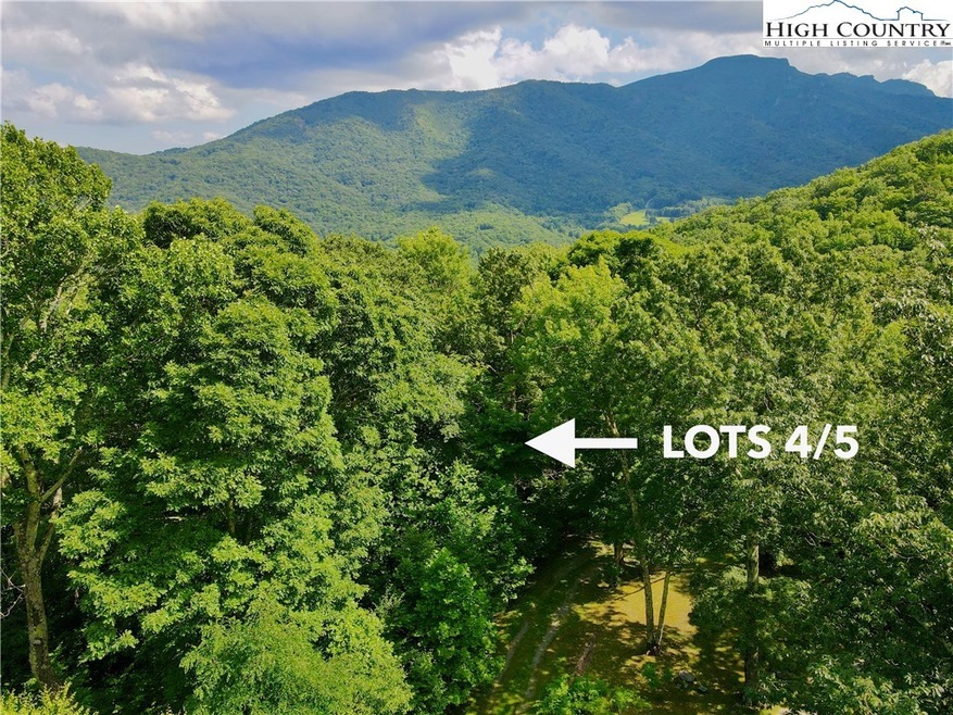 TBD Otter Ct, Seven Devils, NC 28604 - photo 1