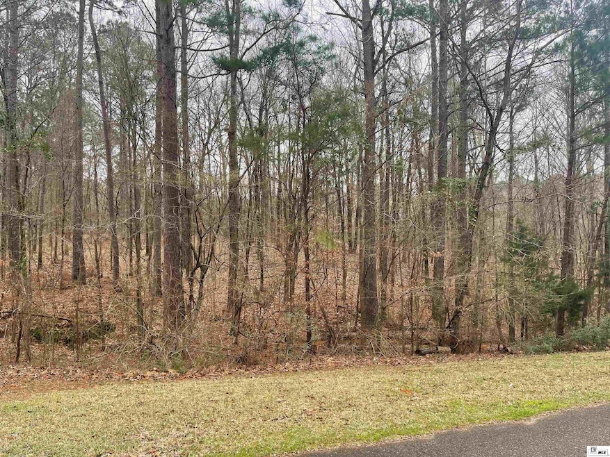 0 Tremont Dr, Ruston, LA 71270 - photo 1