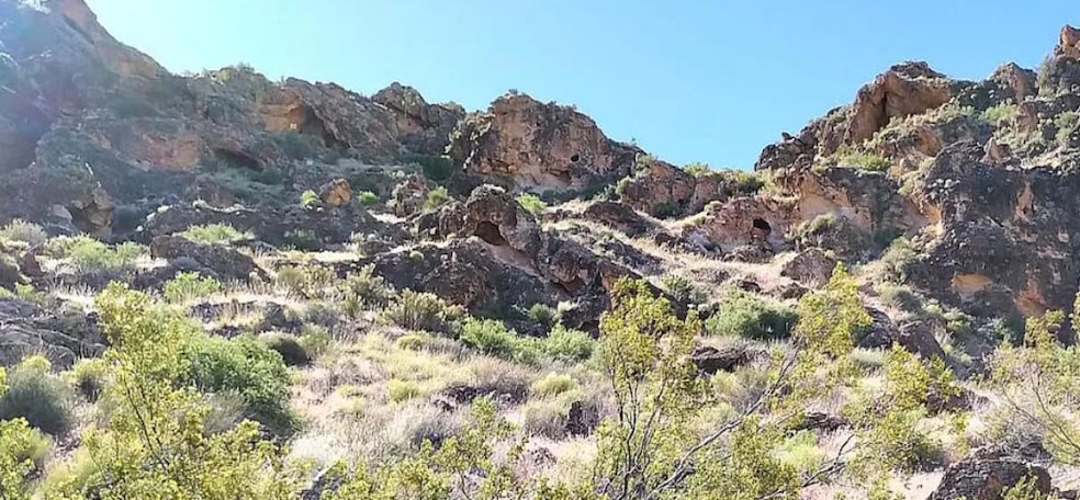 Lot View