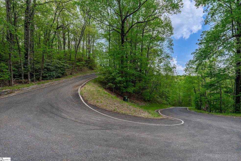 20 Falling Star Way, Landrum, SC 29356 - photo 1