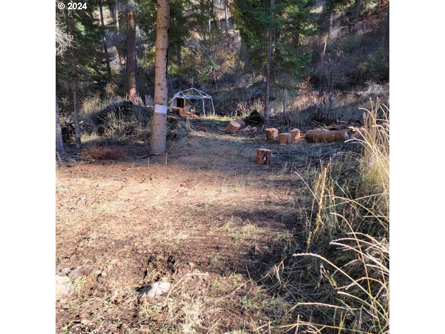 0 River Canyon Rd unit TL 900, Imnaha, Or, OR 97842 - photo 1