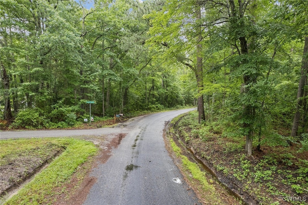 View of asphalt road with a forest view