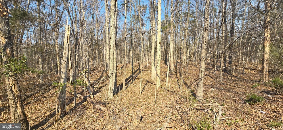 0 Hudson Hollow Rd, Stephens City, VA 22655 - photo 1