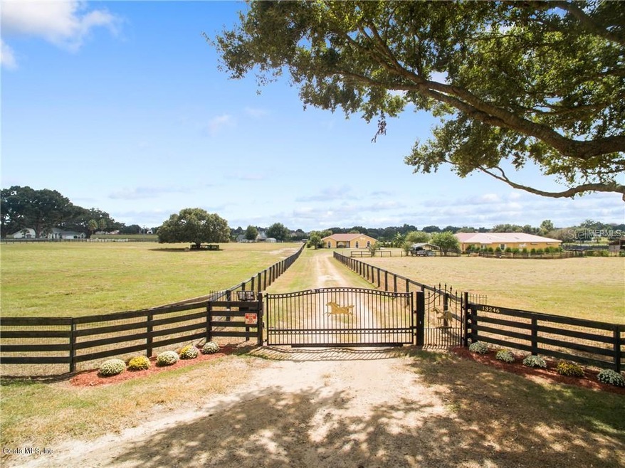 13246 County Road 103, Oxford, FL 34484 - photo 1