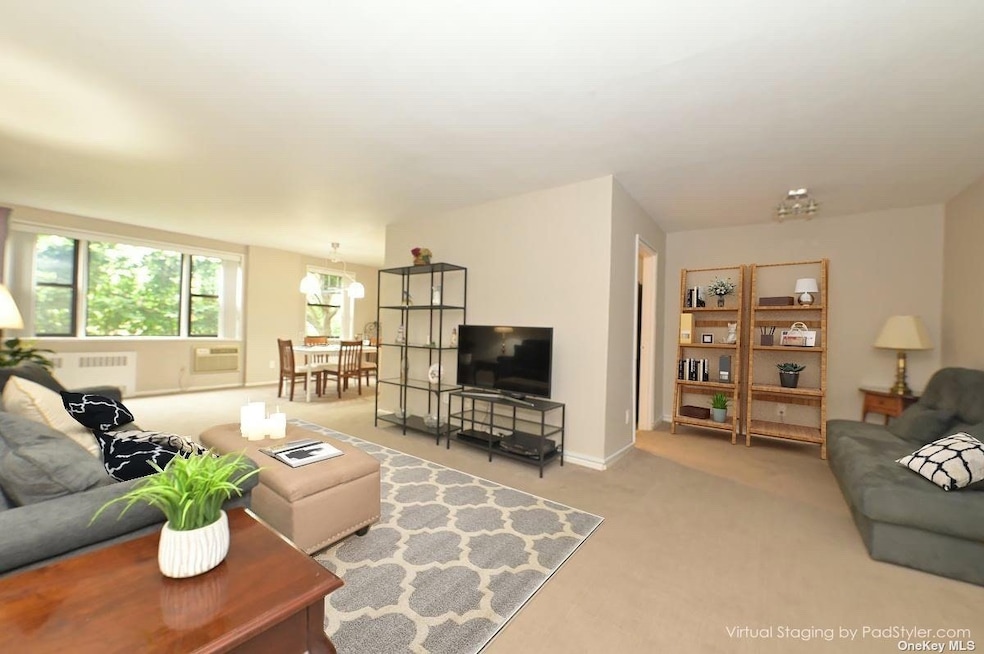 Birchwood Court unit 1J, Mineola, NY 11501 - photo 1