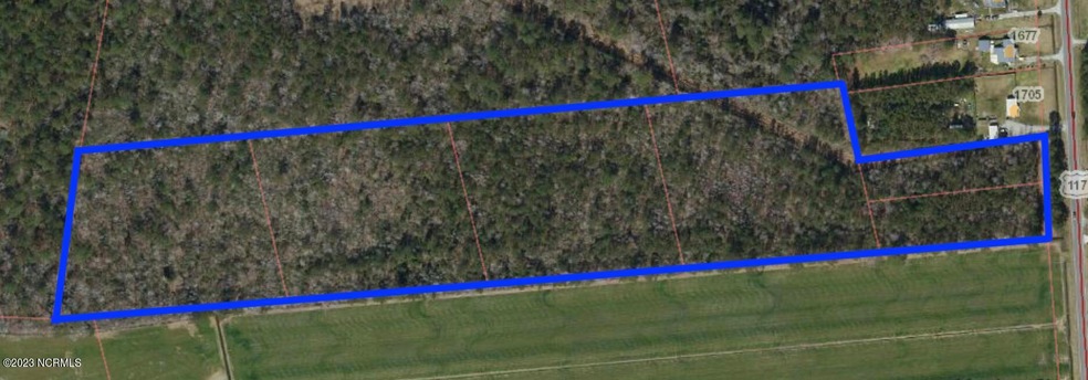 Lots 1-6 U S 117, Burgaw, NC 28425 - photo 1