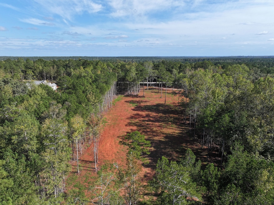 0 Reese Rd unit 25651133, Rutledge, GA 30663 - photo 1