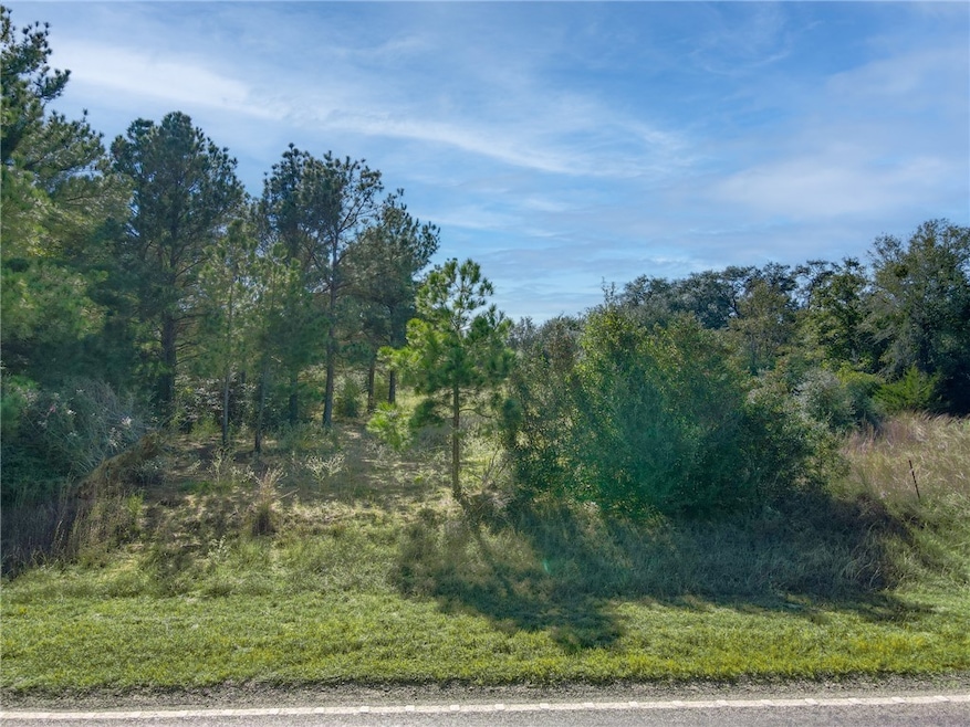 TBD Fm 141, Dime Box, TX 77853 - photo 1