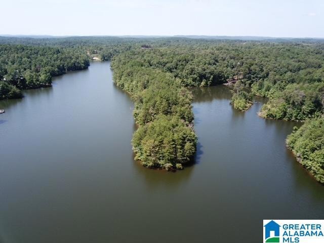 0 Sunny Side Dr unit 10 21378880, Clanton, AL 35046 - photo 1