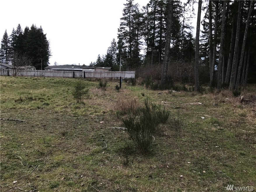 70 W Loganberry Ct, Elma, WA 98541 - photo 1