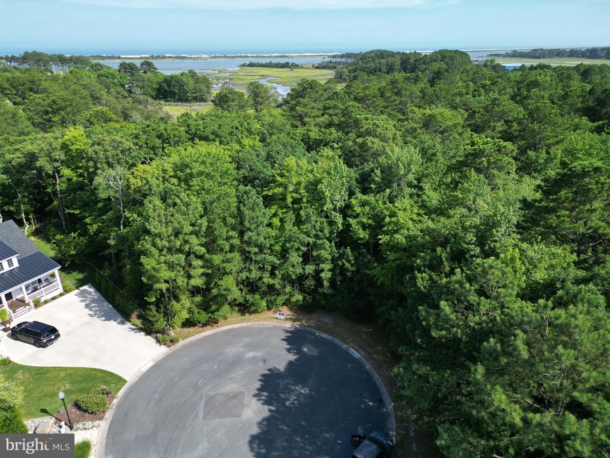 9321 Mountain Laurel Ct, Berlin, MD 21811 - photo 1