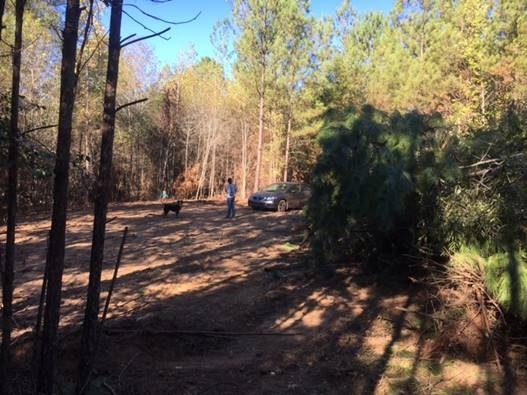 336 Gumm Cemetery Rd NE, Milledgeville, GA 31061 - photo 1