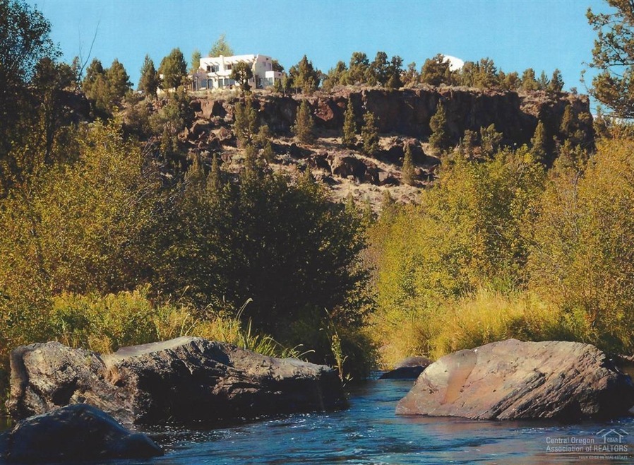 Primary Photo