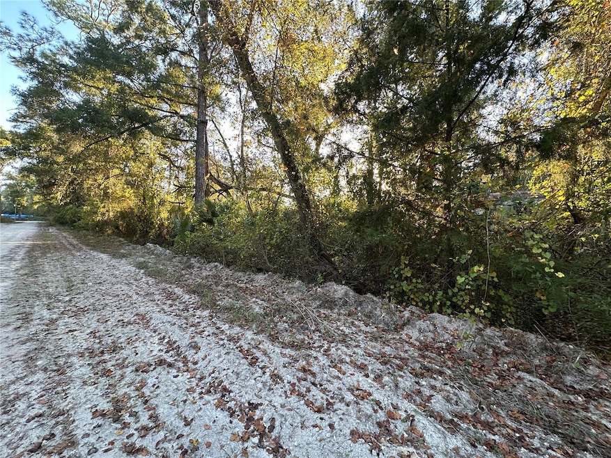 000 SE 926th St, Old Town, FL 32680 - photo 1