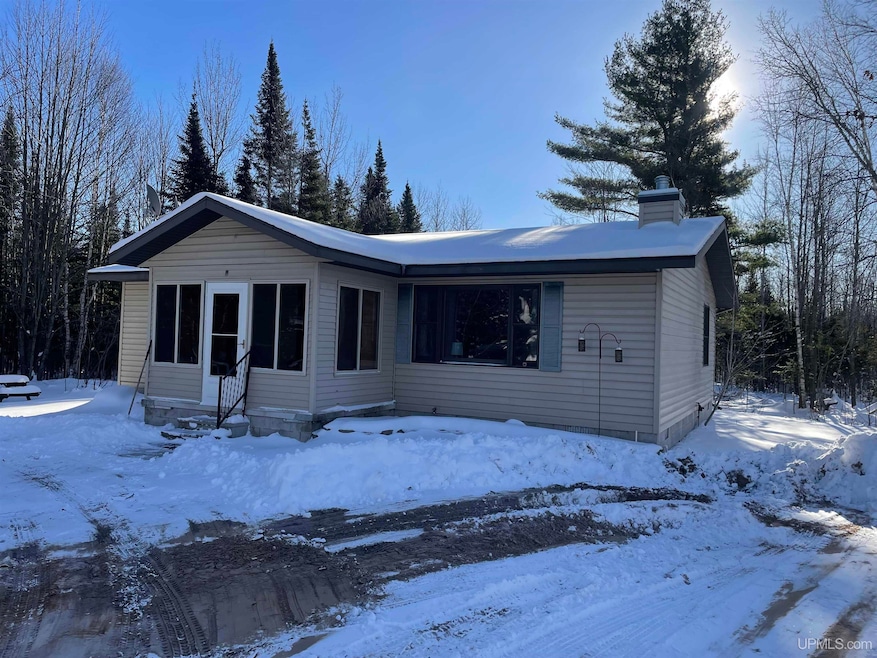 9593 Chvala Rd, Manistique, MI 49854 - photo 1