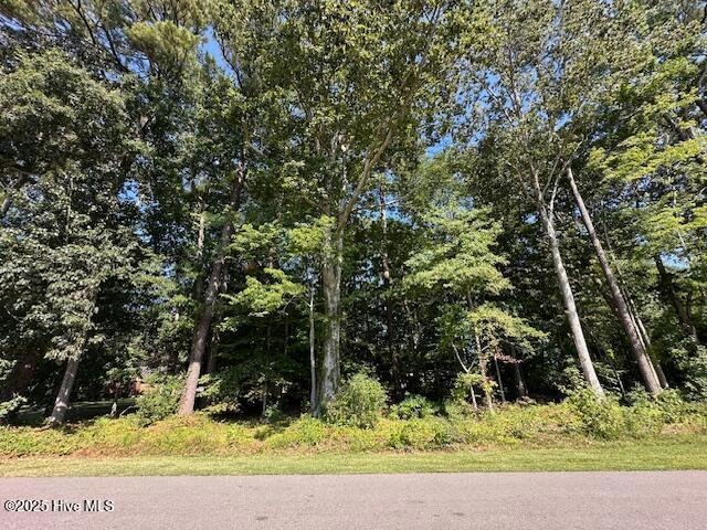 0000 Riddick, Elizabeth City, NC 27909 - photo 1