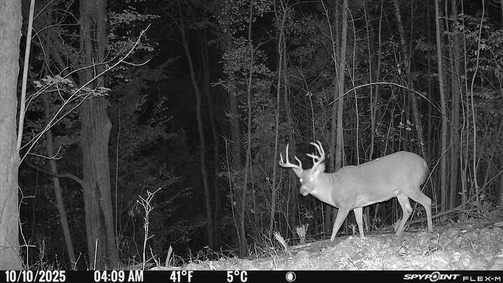 40 Acres + - 150th Ave, Leroy, MI 49655 - photo 1